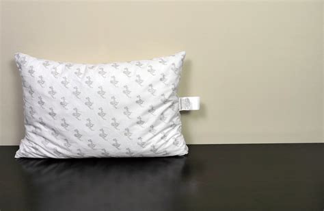 My Pillow Review Sleepopolis