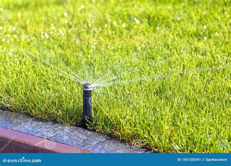 Underground Irrigation Sprinkler System Automatic Watering Stock Image