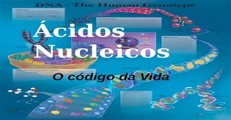 Ácidos Nucleicos O Código Da Vida Os ácidos Nucléicos São Substâncias