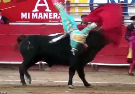 Shocking Moment Matador Is Gored In The Bum By Angry Bull Yet Survives