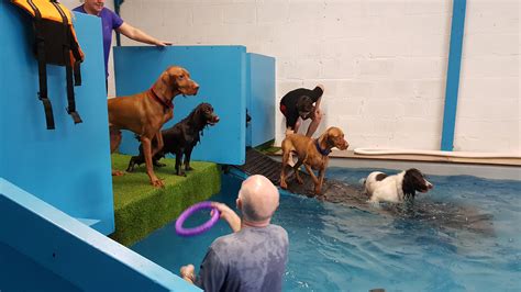 Canine Aqua Centre Canine Aqua Centre