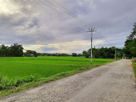 Indian Village Road A Vast Corn Fielda Large Cloudy Sky Stock Photo