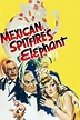 Reparto de Mexican Spitfires Elephant (película 1942). Dirigida por ...