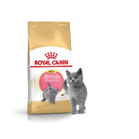 Royal Canin British Shorthair Kitten 2 Kg La Compagnie Des Animaux