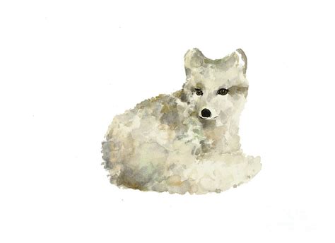 Arctic Fox Watercolor Art Print Painting Painting By Joanna Szmerdt