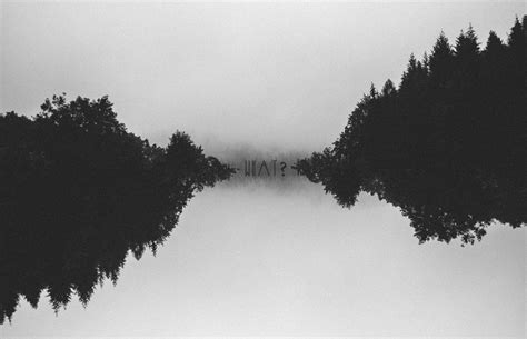 Wallpaper Trees Forest Nature Minimalism Reflection Sky Winter