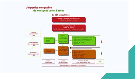 Devenir Expert Comptable Ordre Des Experts Comptables