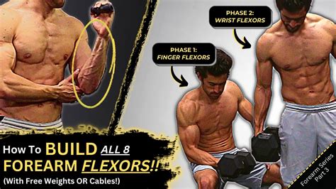 How To Build All 8 Forearm Flexors 4 Finger Flexors 4 Wrist Flexors