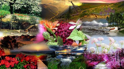 Images Of Nature Beauty 3d Hd I Find The Sculptural Qualities Of A
