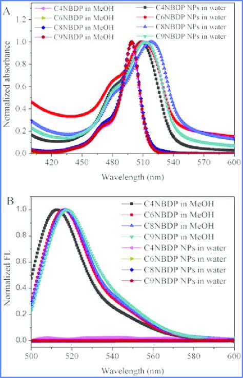 A UVvis Absorption And B Fluorescence Spectra Of CxNBDP NPs In