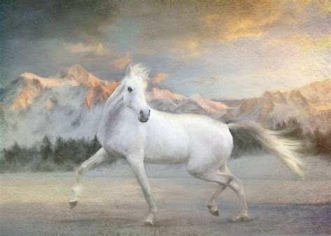 Art Painting Beauty Horse Oil Beautiful White Wallpapers Hd