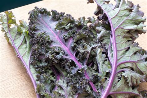Immediately transfer the blanched kale to a bowl of ice water to stop the cooking process and prevent the … How to Cook Red Kale | LIVESTRONG.COM