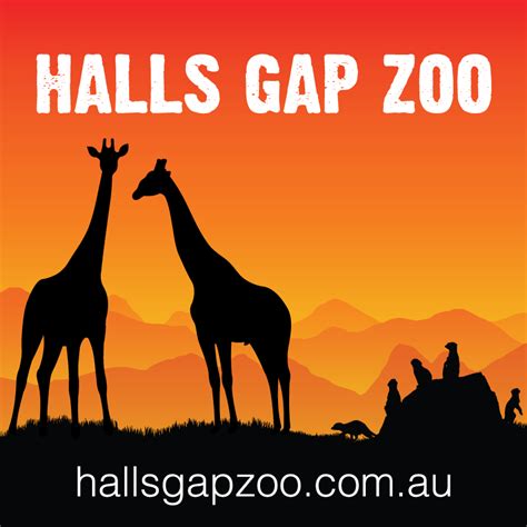 Halls Gap Zoo Grampians Victorias Largest Regional Zoo