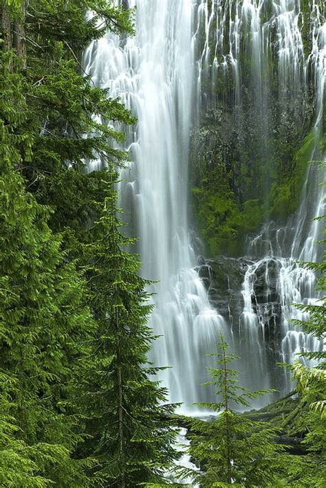 Proxy Falls ~ Oregon By Falling Art Amazing Nature Beautiful Places