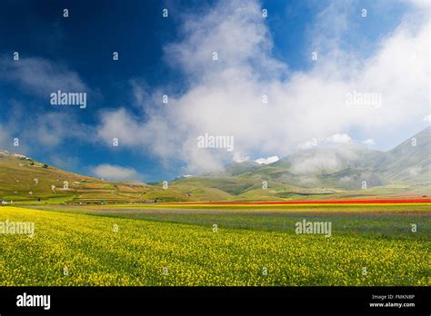 Castelluccio Di Norcia Umbria The Green Heart Of Italy The Flowering