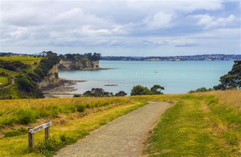 Long Bay Beach Auckland New Zealand Coastal Walk To