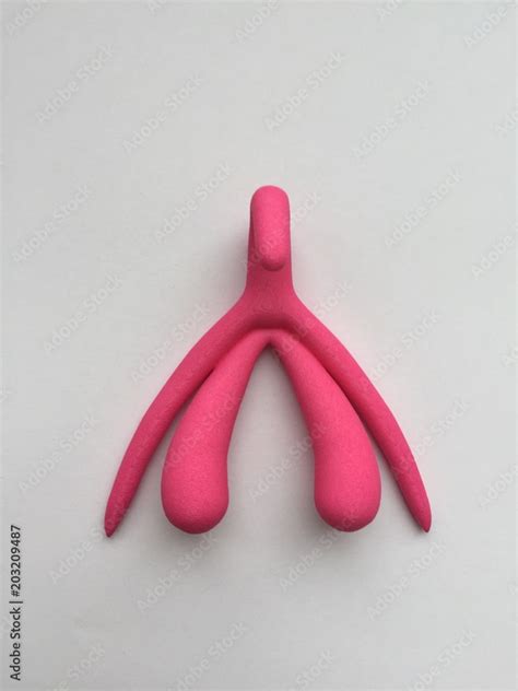 D Gedruckte Klitoris Variation Stock Photo Adobe Stock