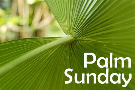 Happy Palm Sunday 2019 Images Pictures Crafts Songs Clipart Ideas For Kids