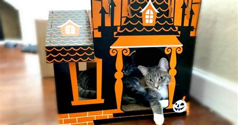 Target Sells A Halloween Haunted House For Your Cats