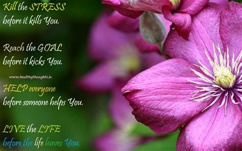 Quotes About Purple Flowers Quotesgram