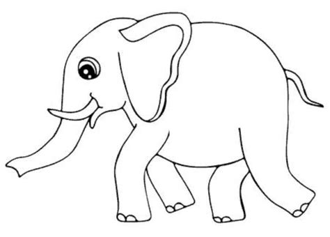 Sketsa berasal dari kata serapan bahasa yunani 'schedios ' yang berarti gambar yang. 20+ Sketsa Gambar Hewan Gajah Yang Mudah Di Warnai Untuk ...