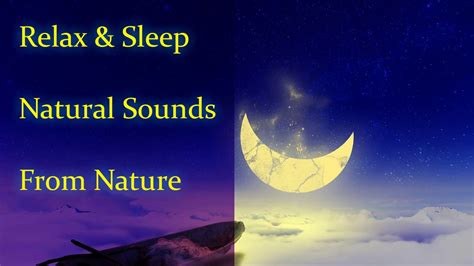 Relax And Sleep Natural Sounds From Nature For Deep Sleep Youtube