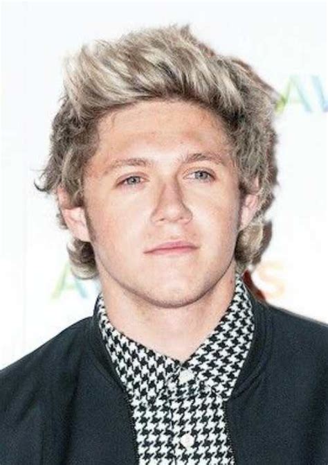 Niall Horan Hairstyle Updated 2020 Mens Hairstyles And Haircuts X