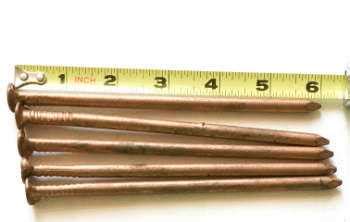 Does Putting A Copper Nail In A Tree Kill It - Will Copper Nails Kill Leylandii