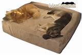 Orthopedic Pet Beds For Dogs Pictures