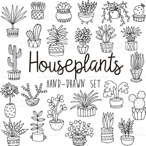 Hand Drawn Line Doodle Set Of Houseplants In Pots Arte De