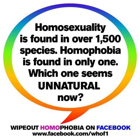 Quotes About Homophobia Quotesgram