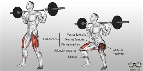 How To Push Pull Legs Exercises