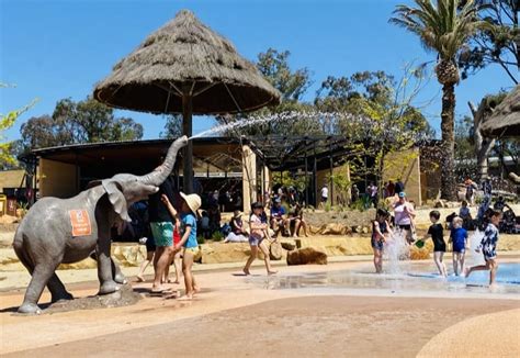 Top Tips For Visiting Taronga Western Plains Dubbo Zoo With Kids
