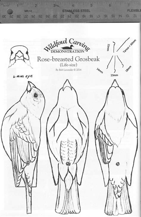 Printable Bird Carving Patterns Printable Templates Free