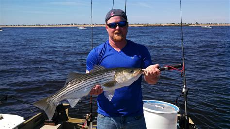 Surfland Bait And Tackle Plum Island Fishing