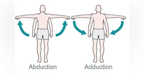 Whats The Difference Between Abduction And Adduction Biomechanics