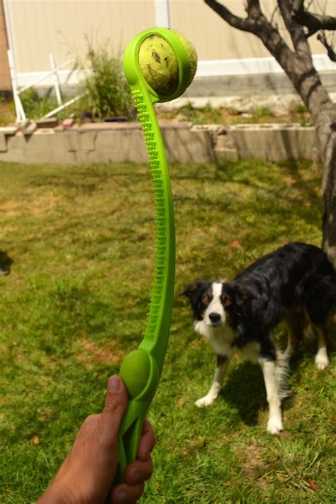 Premium & safe dog ball launchers. The Dog Geek: Product Review: Scratch 'N Squeak Ball Launcher