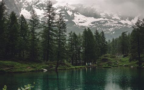 Download Wallpaper 3840x2400 Lake Mountains Trees Rain Nature 4k