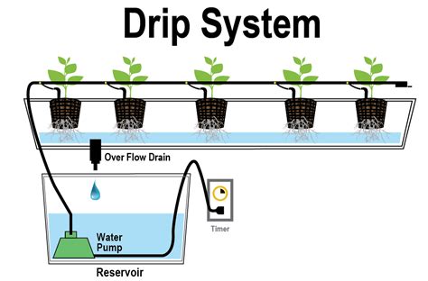 Types Of Hydroponic Systems Damblys Garden Center