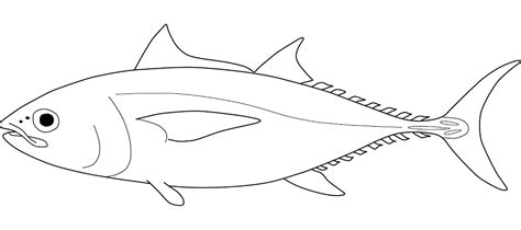 Megalaspis Cordyla Fishider