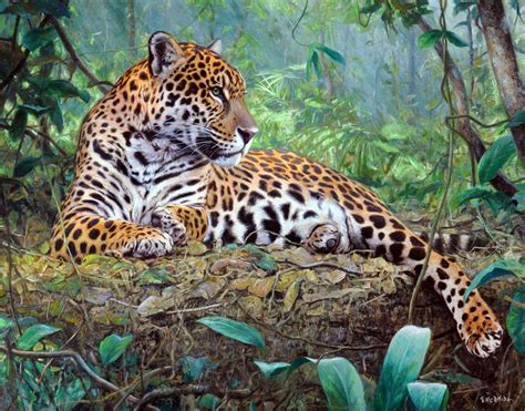 Maybe you would like to learn more about one of these? Pin on Art - Wildlife - Wild Cats