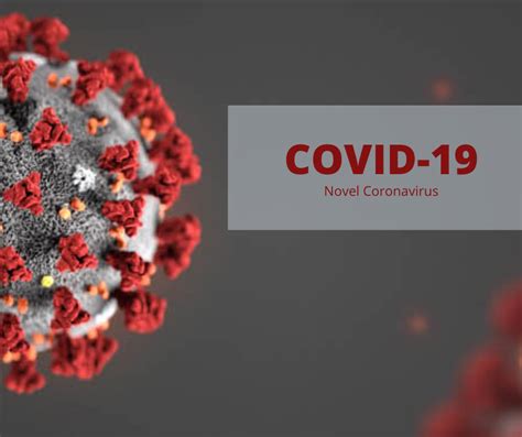 The latest official coronavirus news, updates and advice from the australian government. COVID-19 Fact Sheet - Granite Belt Support Services