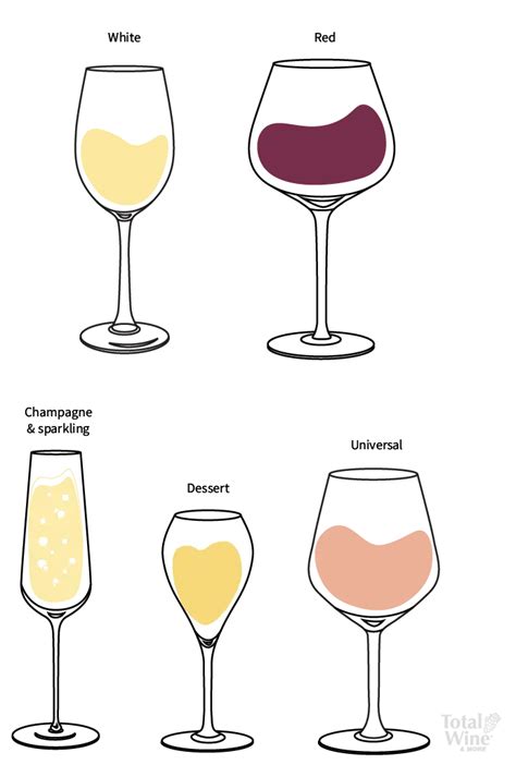 Image Shows Five Different Kinds Of Wine Glasses White Wine Glass Red Wine Glass Sparkling