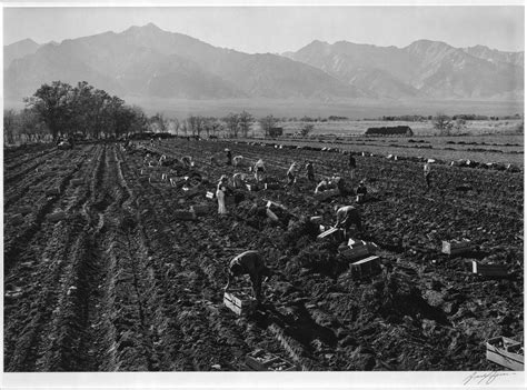 legendary photographer ansel adams visited a japanese internment camp in 1943 here s what he