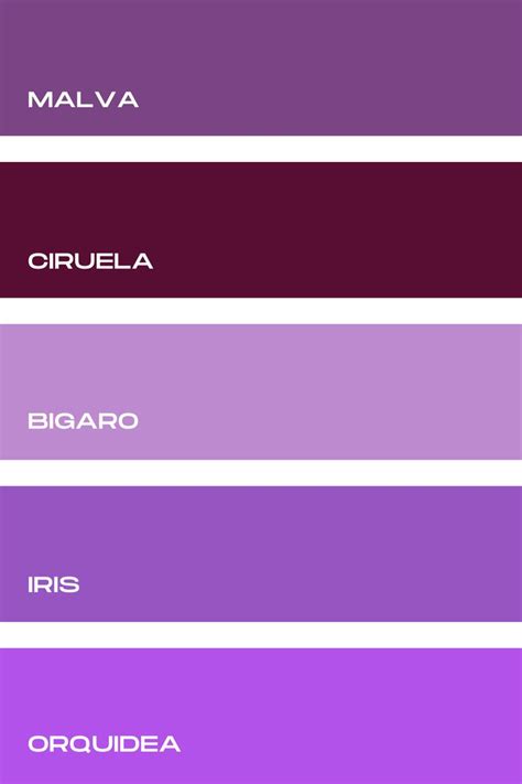 Colores Violetas Colores De Pintura Nombres De Colores Colores De