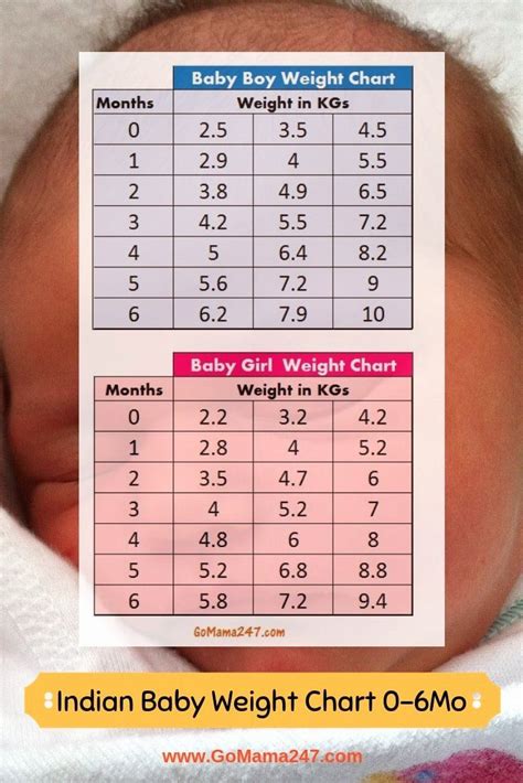 Average Baby Weight Gain 4 Months Apaintinday