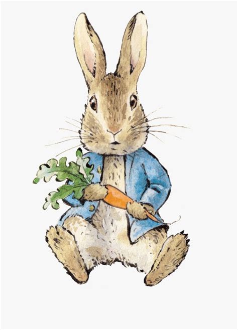 Rabbit Illustration Peter Rabbit Illustration Peter Rabbit And Friends