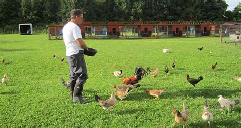 Feds Aspca Raid Lawful Farm Of Rare Game Fowl Breeder Gem State