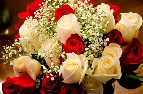 Ordina fiori buon compleanno italia e consegna a domicilio da qfiori.it. Fiori compleanno - Regalare fiori - Quali fiori scegliere per il compleanno?