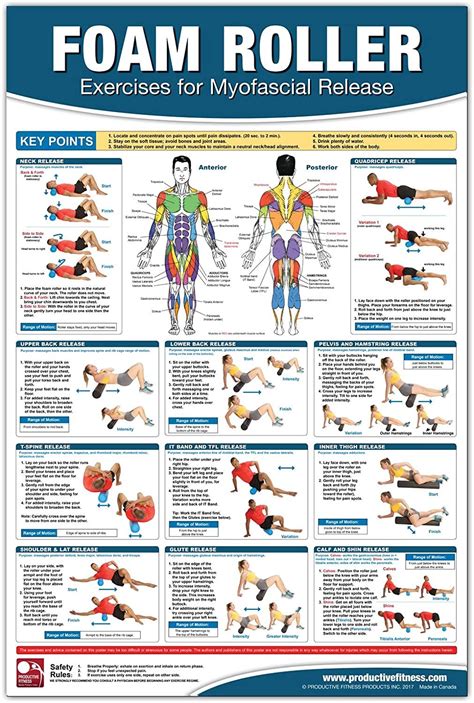 Myofascial Release Chart Poster Foam Rolling Chart Muscle Massage Myofascial Release Poster